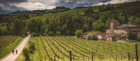 Walkers take in the typical Tuscan landscape on the Via Francigena | Tim Charody