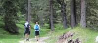 Walking into the forest on the Alta Via