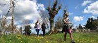 A group of friends walking on the Via Francigena in Tuscany | Allie Peden