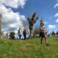 A group of friends walking on the Via Francigena in Tuscany | Allie Peden