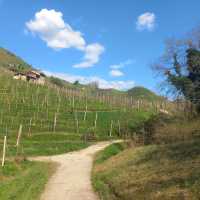 Hiking trail between Col San Martino and Valdobbiadene