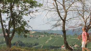 Walking in Piedmont | Jaclyn Lofts