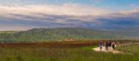 Walking through the Umbrian landscape