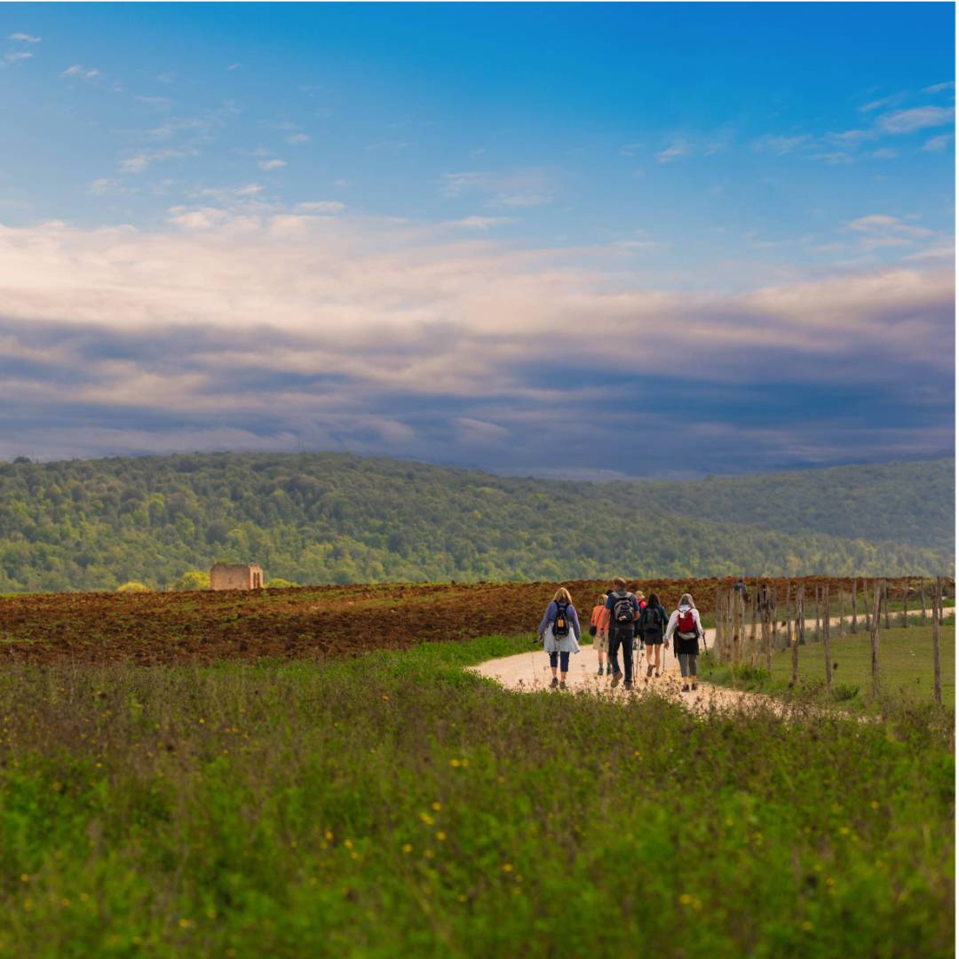 Walking through the Umbrian landscape