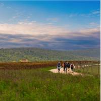 Walking through the Umbrian landscape