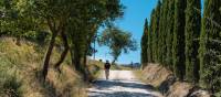 Walk through beautiful Tuscan landscapes on the Via Francigena