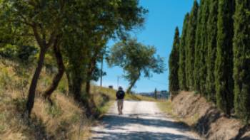 Walk through beautiful Tuscan landscapes on the Via Francigena