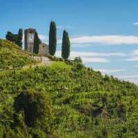 Explore the Prosecco Trail