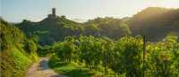 Walk the charming Prosecco hills and vineyards