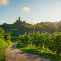 Walk the charming Prosecco hills and vineyards