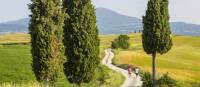 Explore Tuscany's gorgeous trails on foot