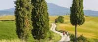 Explore Tuscany's gorgeous trails on foot