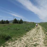 walker on the Magna Via Francigena