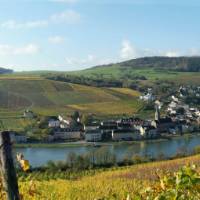 Cycle past lovely villages along the Moselle River in Luxembourg