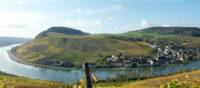 Cycle past lovely villages along the Moselle River in Luxembourg