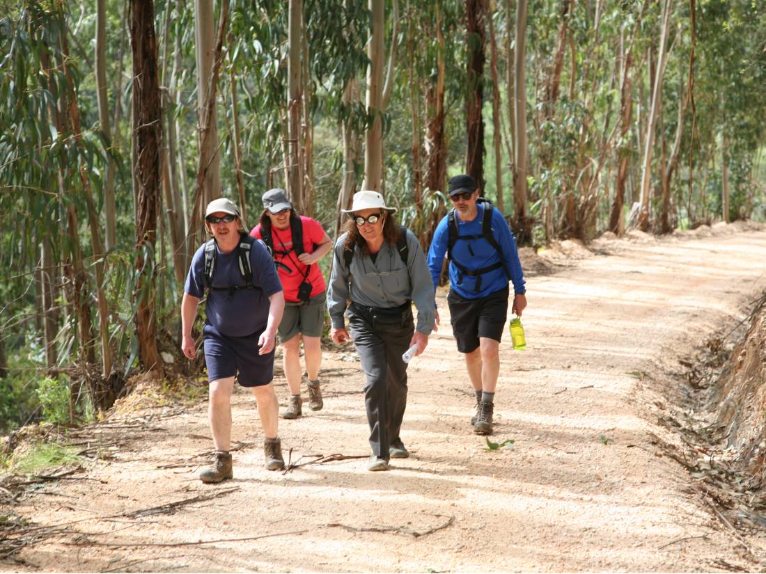 Walking a shadowy section of the Fishermen's Trail in Portugal |  <i>John Millen</i>