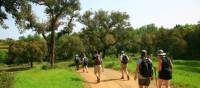 Walk the Rota Vicentina between Porto Covo and Odeceixe | John Millen