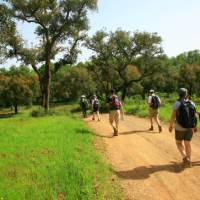 Walk the Rota Vicentina between Porto Covo and Odeceixe | John Millen