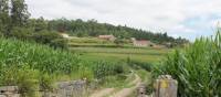 Countryside of Portugal along the Portuguese Camino tour | Jaclyn Lofts