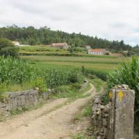 Countryside of Portugal along the Portuguese Camino tour | Jaclyn Lofts