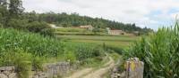 Countryside of Portugal along the Portuguese Camino tour | Jaclyn Lofts