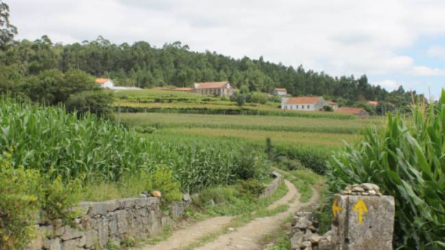 Countryside of Portugal along the Portuguese Camino tour | Jaclyn Lofts