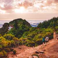 Discover the island of Madeira | Tim Charody
