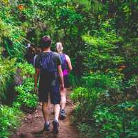 Discover the island of Madeira | Tim Charody