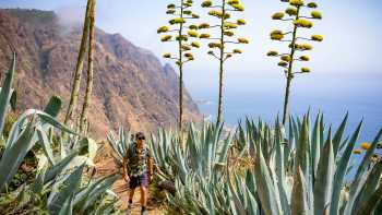 Discover the island of Madeira | Tim Charody
