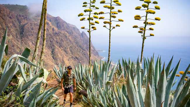 Discover the island of Madeira | Tim Charody