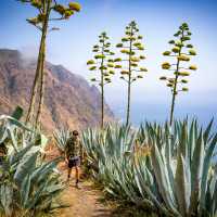 Discover the island of Madeira | Tim Charody
