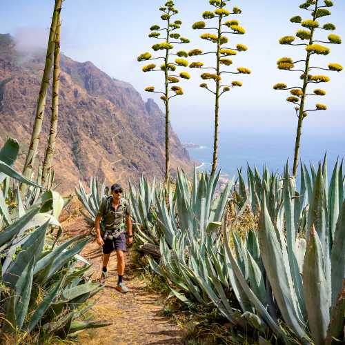 Discover the island of Madeira