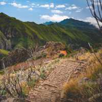 Discover the island of Madeira | Tim Charody