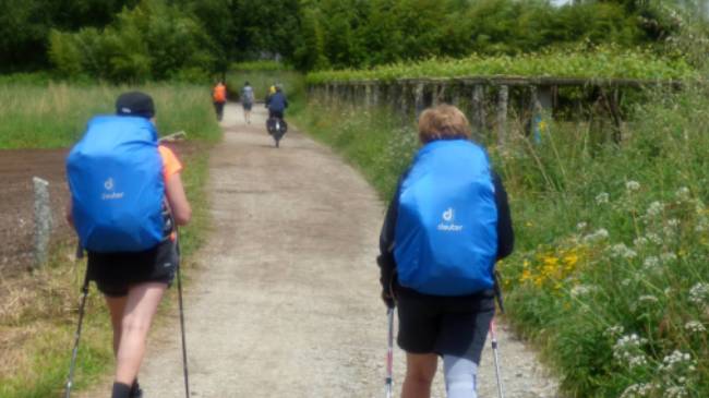 Cyclist passing pilgrims on the trail to Santiago in Portugal | Pat Rochon