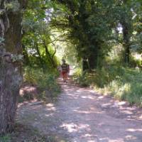 Pilgrims on the Portuguese Camino