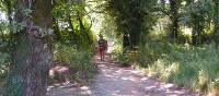 Pilgrims on the Portuguese Camino