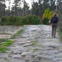 Hiking along the Portuguese Camino