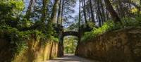 Walk along the Estrada da Pena in Sintra | Daniel John