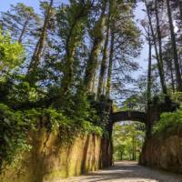 Walk along the Estrada da Pena in Sintra | Daniel John