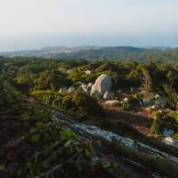 Explore on foot the area around Sintra | Rodrigo Silva