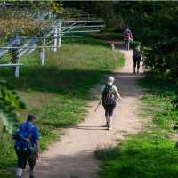 Pilgrims walking the Camino Portuguese