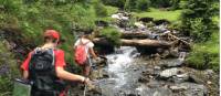 Ascending through forest to the Bucegi Mountains in Transylvania |  <i>Kate Baker</i>