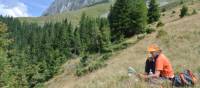 Resting below the limestone peaks of Piatra Craiului National Park | Lilly Donkers