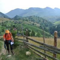 Walking in Piatra Craiului National Park | Lilly Donkers