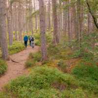 Enjoy walking along the Great Glen Way | Tim Charody