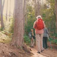 Enjoy walking along the Great Glen Way | Tim Charody