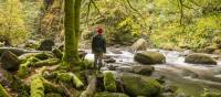 Hiking in the Birks of Aberfeldy on the Rob Roy Way | Kenny Lam