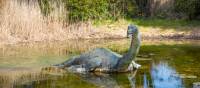 Spot Nessie in Scotland! | Kenny Lam