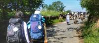 Pilgrims hiking through rural villages along the Camino Frances in Spain | Gesine Cheung