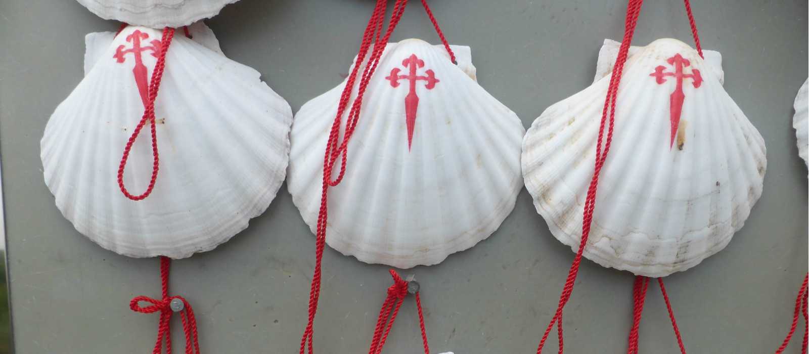 The scallop shell can be found all along the Camino | Gesine Cheung